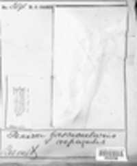 Sclerencoelia fascicularis image